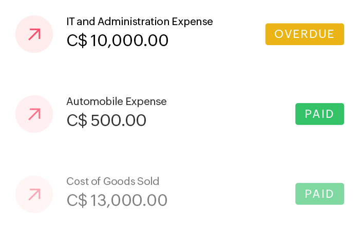 Summary of payables with their amount and status