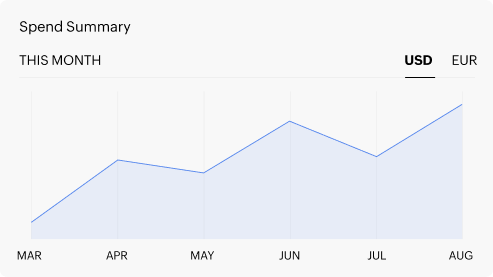 Total visibility into AirPlus card spend