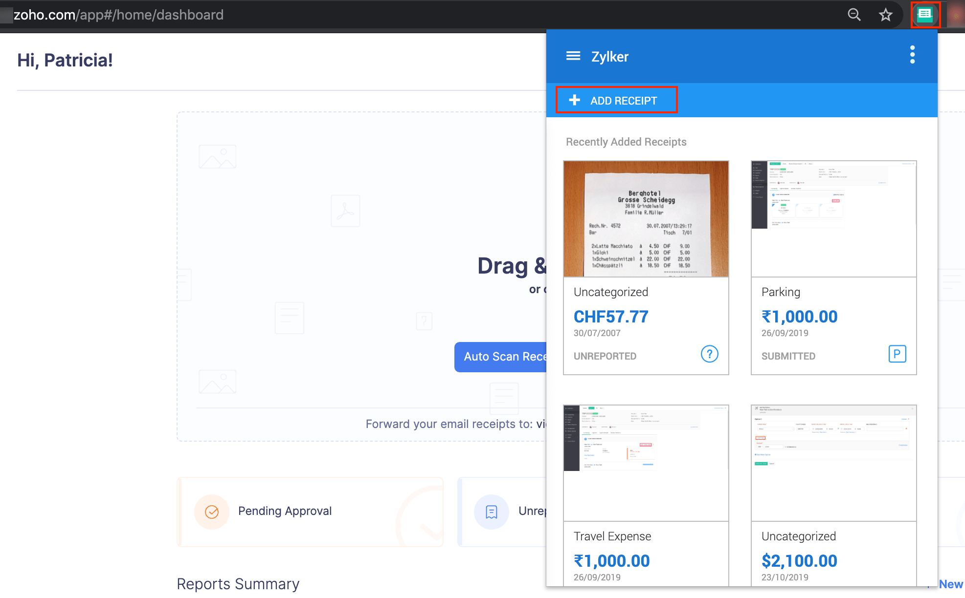 Download Chrome Extension