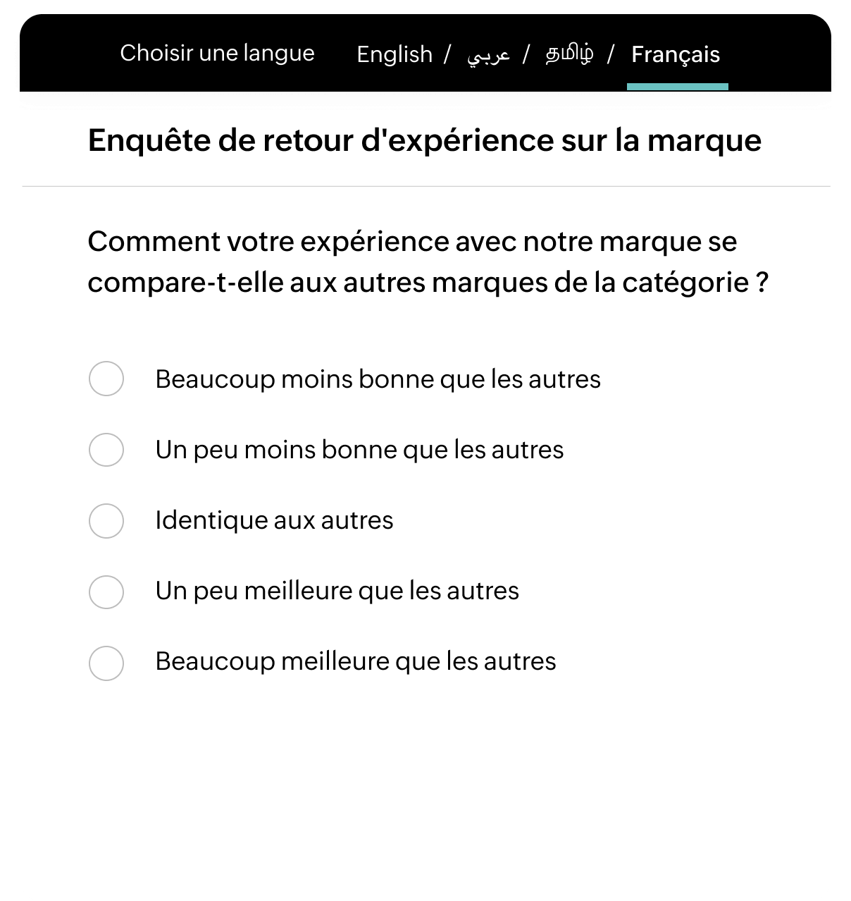 Multi-language surveys